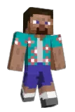 bastionremnant Minecraft avatar full body