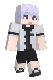 bat7545 Minecraft avatar full body