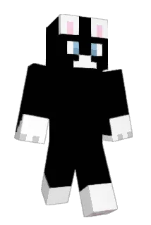 batman2334 Minecraft avatar full body