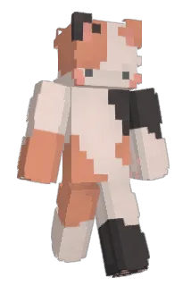 batmanpilled Minecraft avatar full body