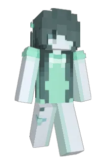 bawkyy Minecraft avatar full body