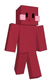 Front of Jwsper's skin