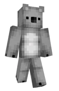 Front of dzokika's skin