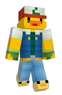 Front of Zestian's skin