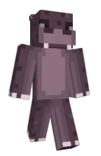 hippoharry27's Minecraft skin