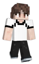 Minecraft skin — Classic model