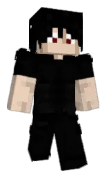black and just right Minecraft skin — Classic model