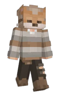 Front of Minecraft skin
