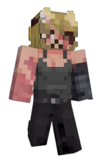 Front of nec6's skin