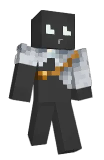 Front of visxionary's skin