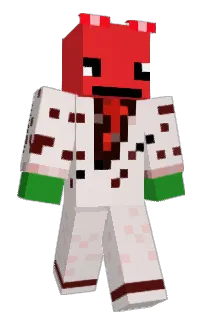 Front of Matrixhun's skin