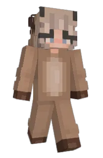 Front of Paratwo's skin
