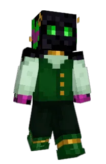 Front of Twior's skin