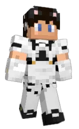 Classic Minecraft skin