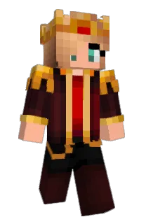 Front of PojWardo's skin