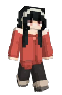Front of CINDERIX's skin