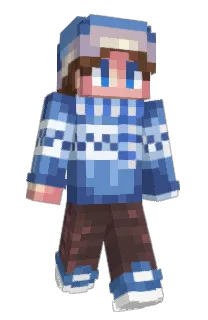 Front of BrailTeq's skin