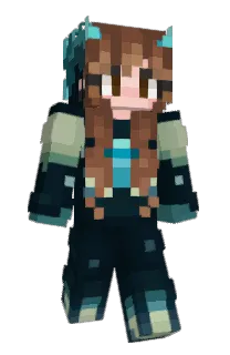 Front of Chimni's skin