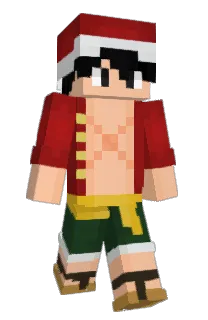 Front of Eforcse's skin