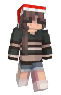 Front of nelchili's skin