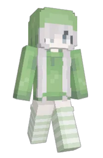 Front of imsck's skin