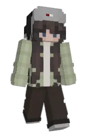 Skin preview