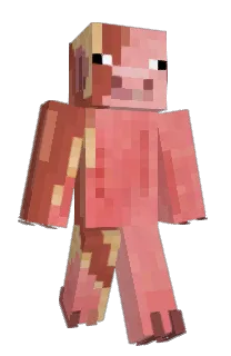 Front of PiggyBaconz's skin