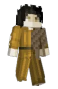 Virison2