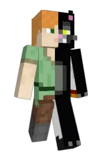 bbaovanc Minecraft avatar full body