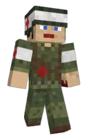 Skin preview