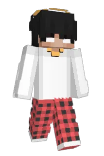 bbb Minecraft avatar full body
