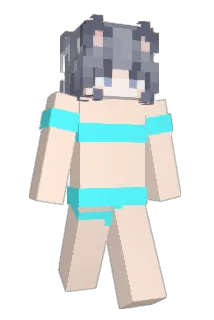 bbbbdl Minecraft avatar full body