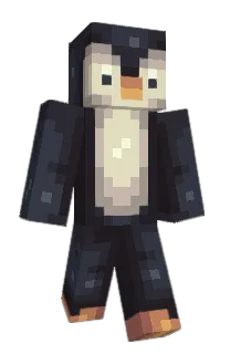 Front of Codics's skin