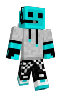 bbc_bee Minecraft avatar full body