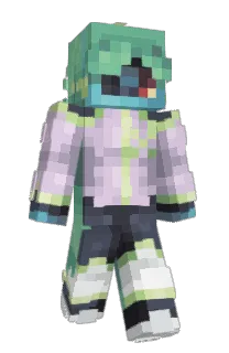 Front of neezes's skin