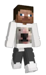 ShadedFlameXI's Minecraft skin wearing the Vanilla cape