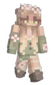 Skin preview
