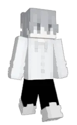 Minecraft-Skin in athens gray und black — Modell: Schmal