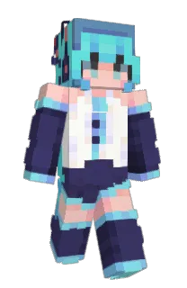 Front of preena's skin