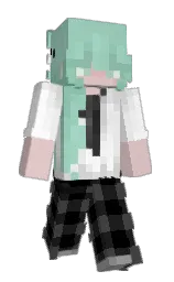 sinbad and wafer Minecraft skin — Slim model — first worn by zkeron