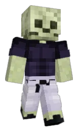 Htrrwe's Minecraft skin wearing the Migrator cape