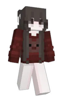 Front of Novas_in_ur_wall's skin