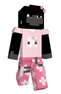 Front of e8x's skin