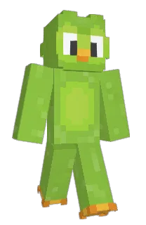 Front of 1lSuL's skin