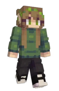RinElf's Minecraft skin