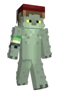 Front of Minecraft skin