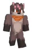 e_raccoon