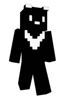 bbg1207 Minecraft avatar full body