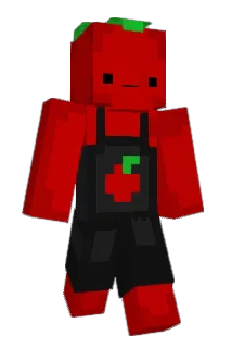 bbitwo Minecraft avatar full body