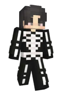 bblerdal Minecraft avatar full body